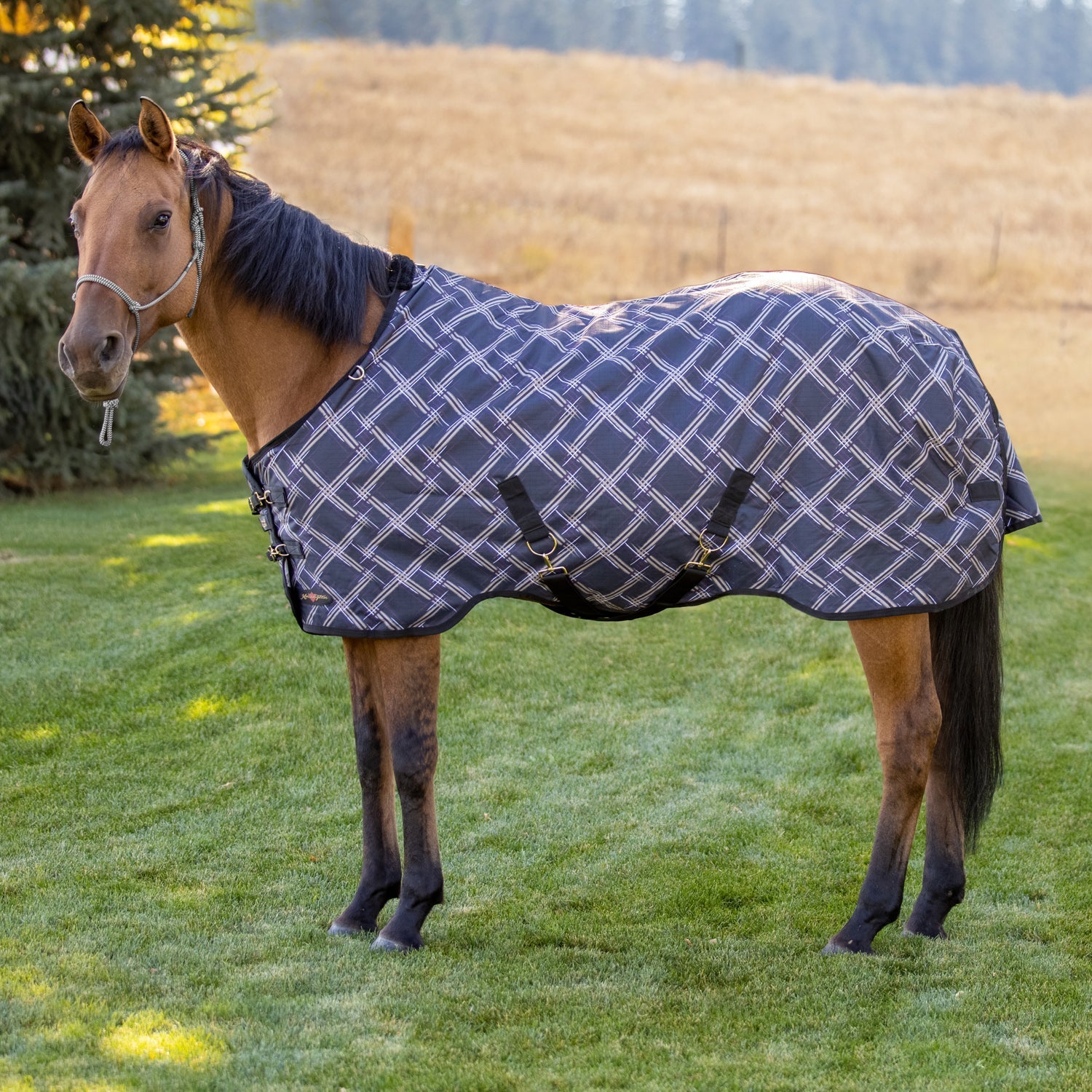 Bundle - 1200D Horse Heavy Weight Turnout & Blanket Bag - Kensington Protective Products - Equiluxe Tack