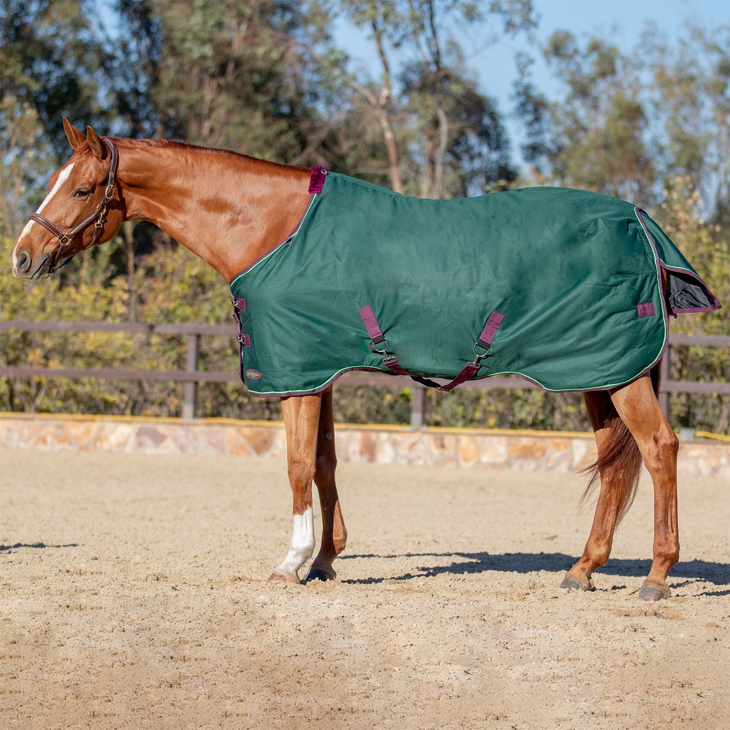 Bundle - 1200D Horse Light Weight Turnout & Blanket Bag - Kensington Protective Products - Equiluxe Tack