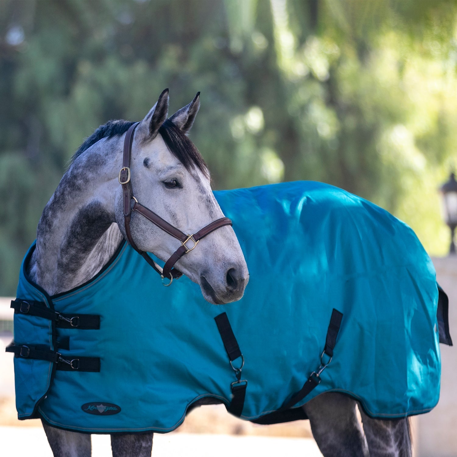 Bundle - 1200D Horse Light Weight Turnout & Blanket Bag - Kensington Protective Products - Equiluxe Tack