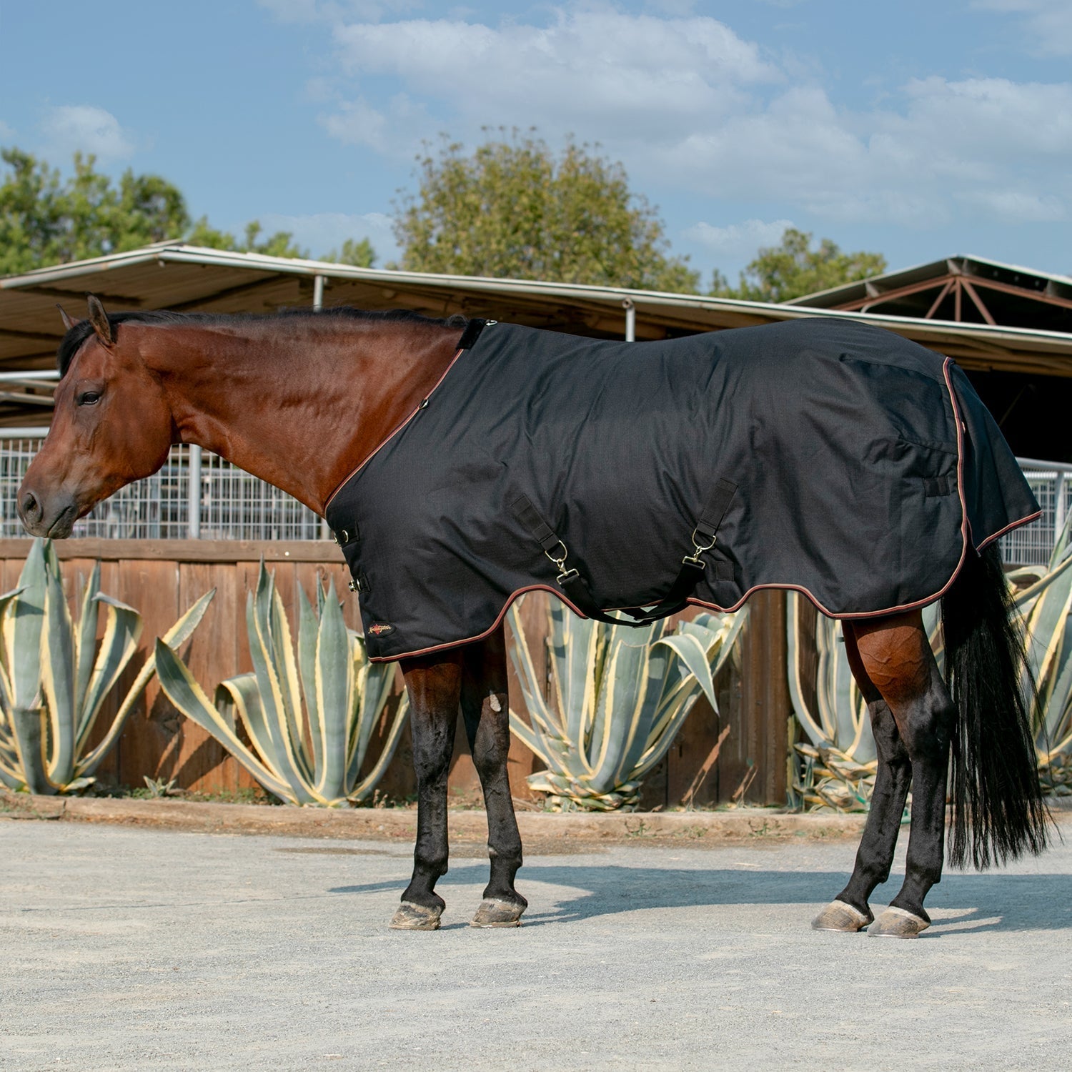 Bundle - 1200D Horse Light Weight Turnout & Blanket Bag - Kensington Protective Products - Equiluxe Tack