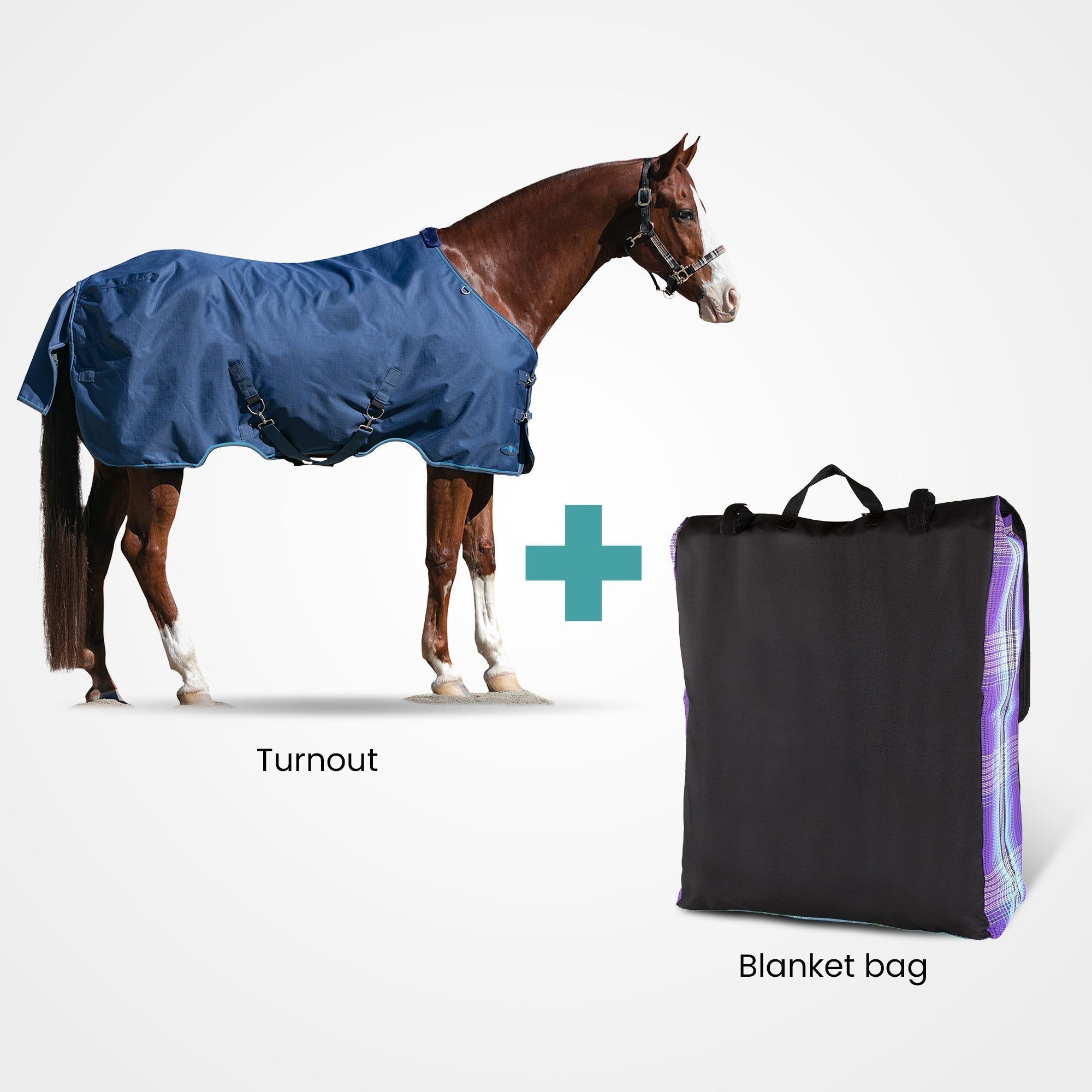 Bundle - Pony Heavy Weight Turnout & Blanket Bag - Kensington Protective Products - Equiluxe Tack