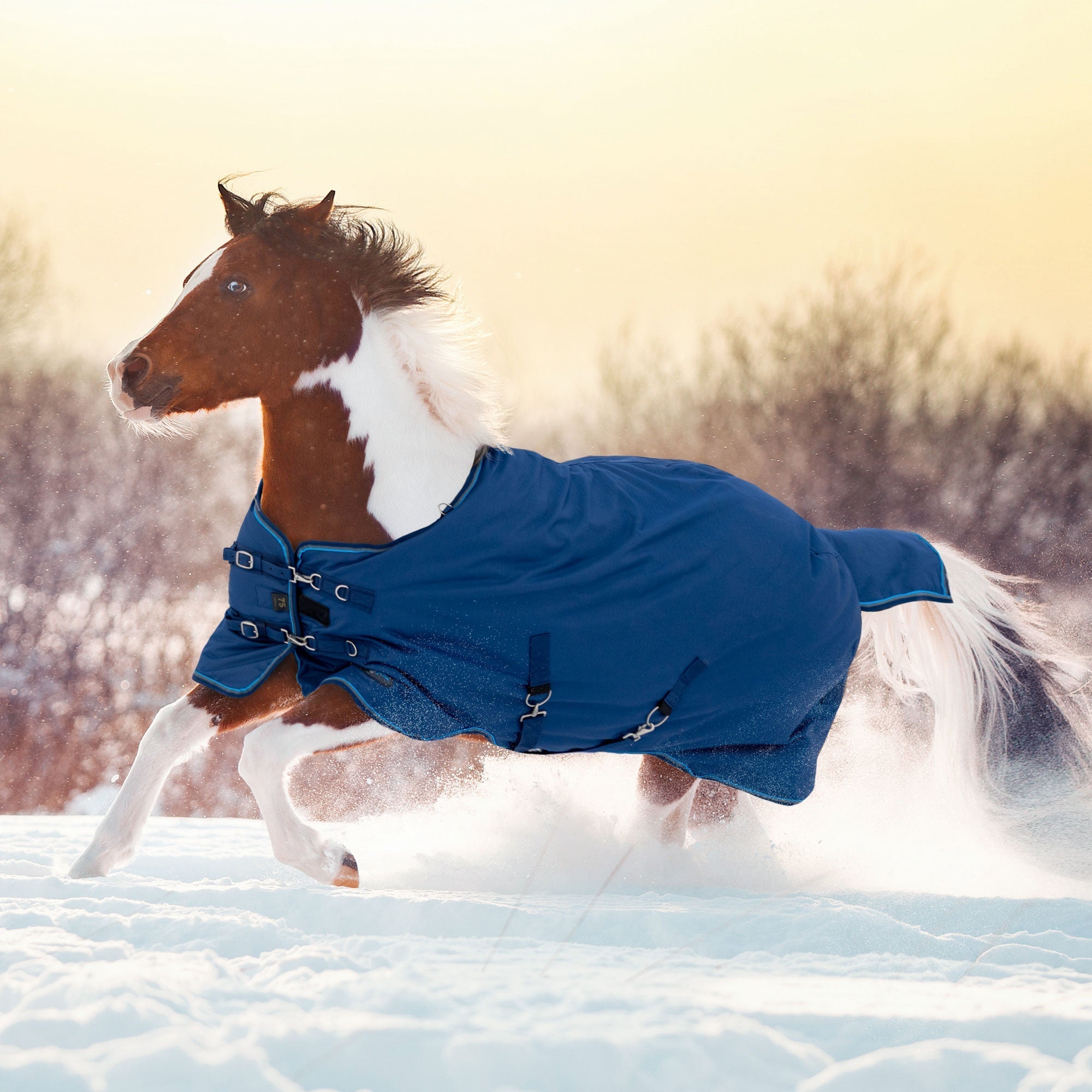 Bundle - Pony Mid Weight Turnout & Blanket Bag - Kensington Protective Products - Equiluxe Tack