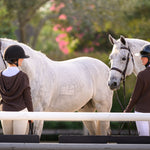 Cali Waffle Hoodie - Euphoric Equestrian - Equiluxe Tack