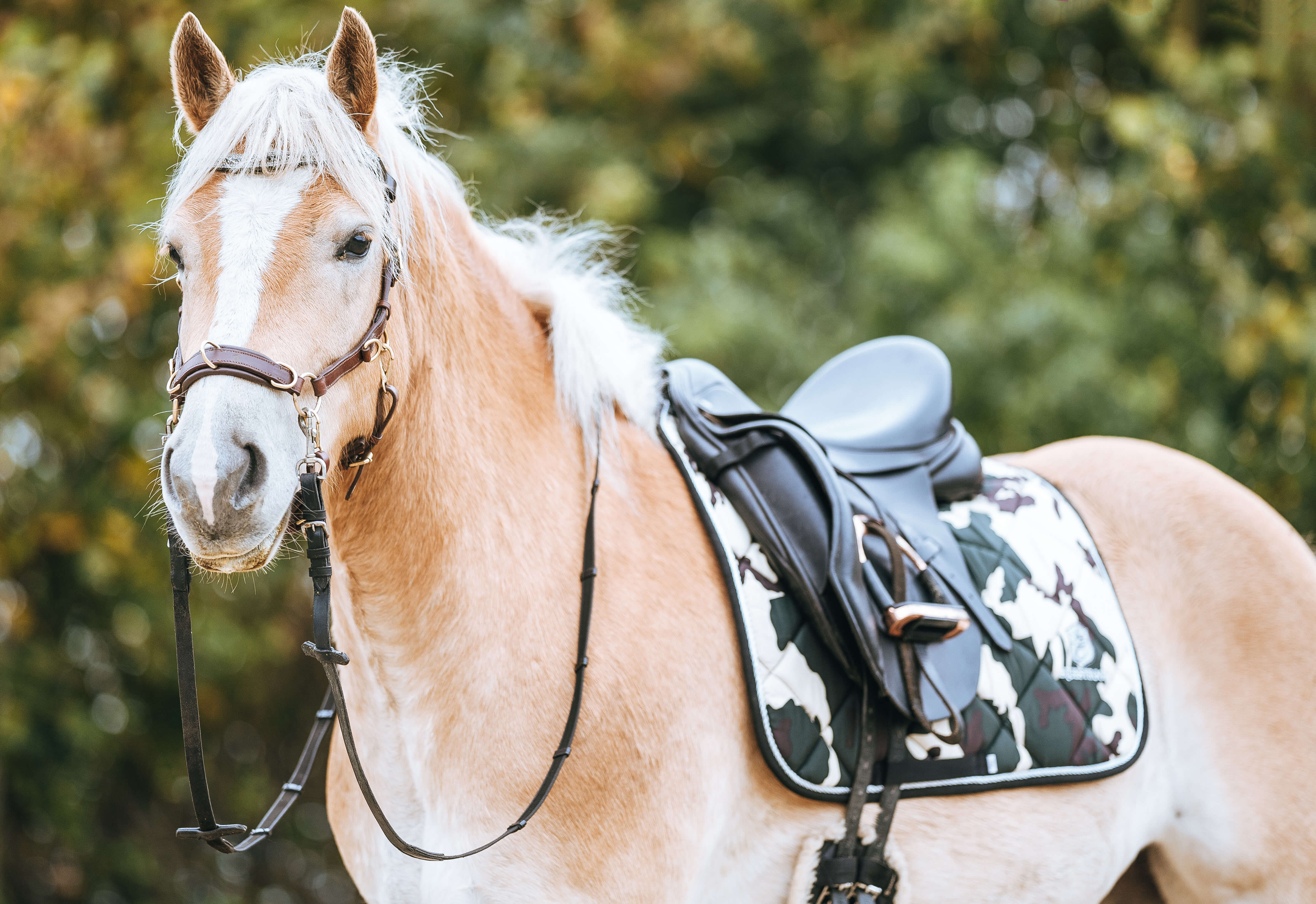 Camouflage Saddle Pad - Equestroom - Equiluxe Tack