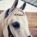 Champagne Tiara - MASEGO horsewear - Equiluxe Tack