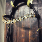 Champagne Tiara - MASEGO horsewear - Equiluxe Tack