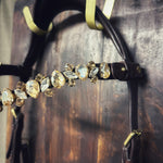 Champagne Tiara - MASEGO horsewear - Equiluxe Tack