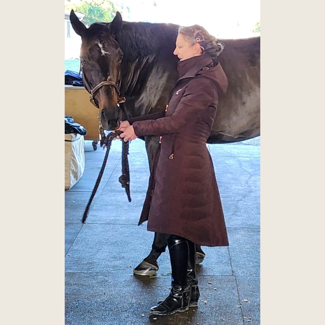 Chocolate Brown Duck Down Riding Coat with Velvet Collar - Dressage Queen Dream - Equiluxe Tack