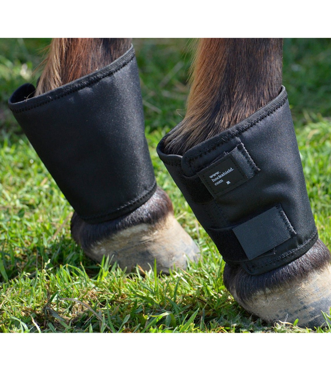Click Fetlock Shields - Click Horse Products - Equiluxe Tack