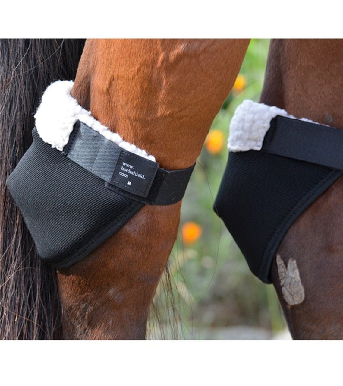Click Hock Shields® - Click Knee Shields - Equiluxe Tack