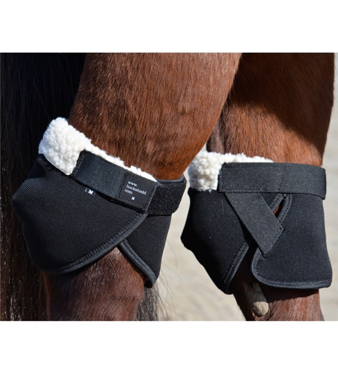Click Hock Shields® Ultra - Click Knee Shields - Equiluxe Tack