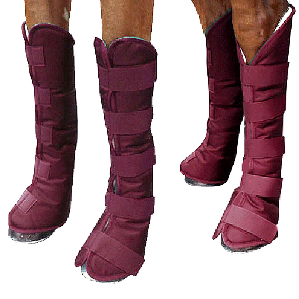 Comfort Plus Shipping Boots - Set of Four - Equiluxe Tack - Equiluxe Tack