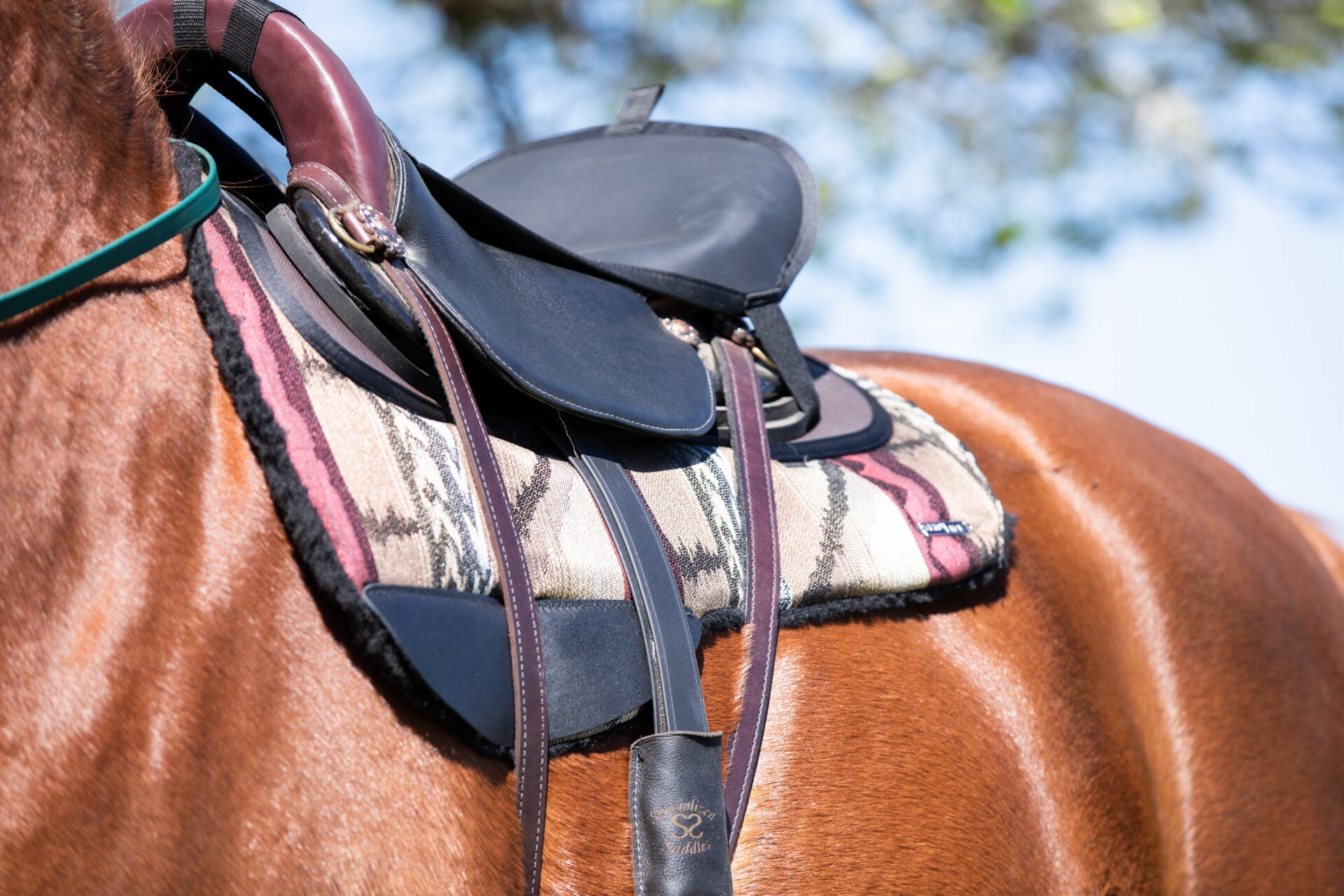 Contour Western Ranch Round Skirt Pad - Equiluxe Tack - Equiluxe Tack