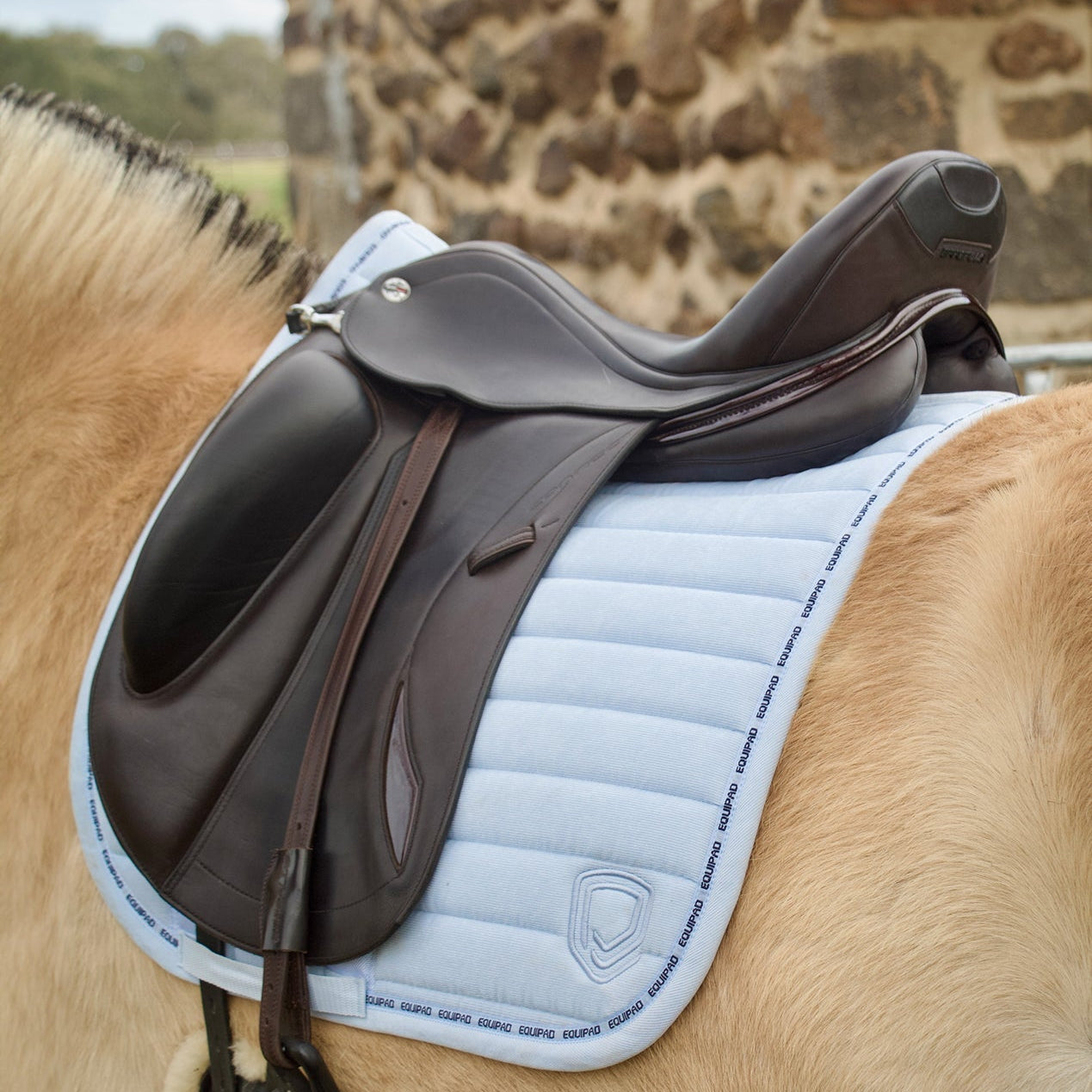 Corduroy Dressage Saddle Pad - Baby Blue - Equipad Equestrian - Equiluxe Tack