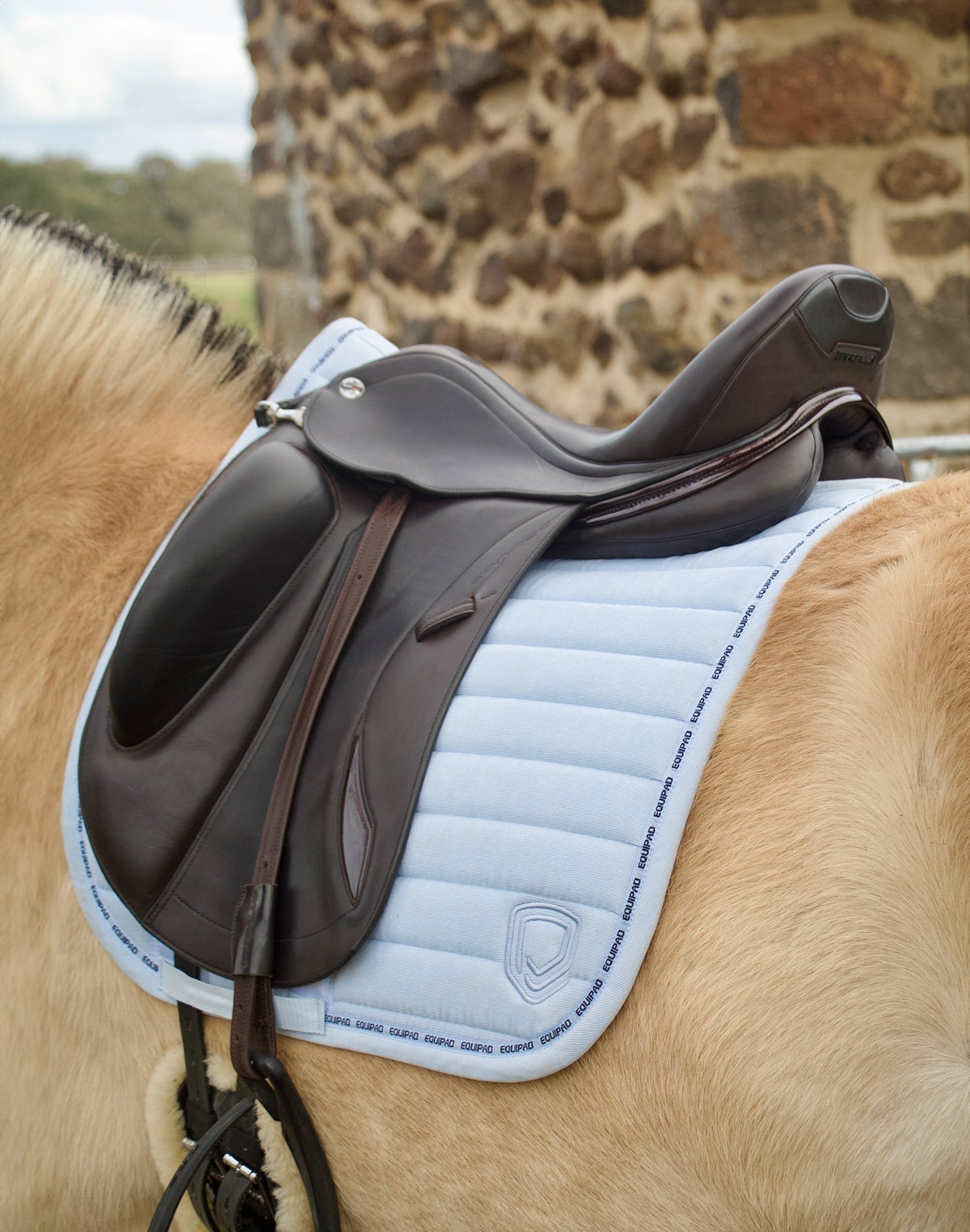 Corduroy Dressage Saddle Pad - Baby Blue - Equipad Equestrian - Equiluxe Tack