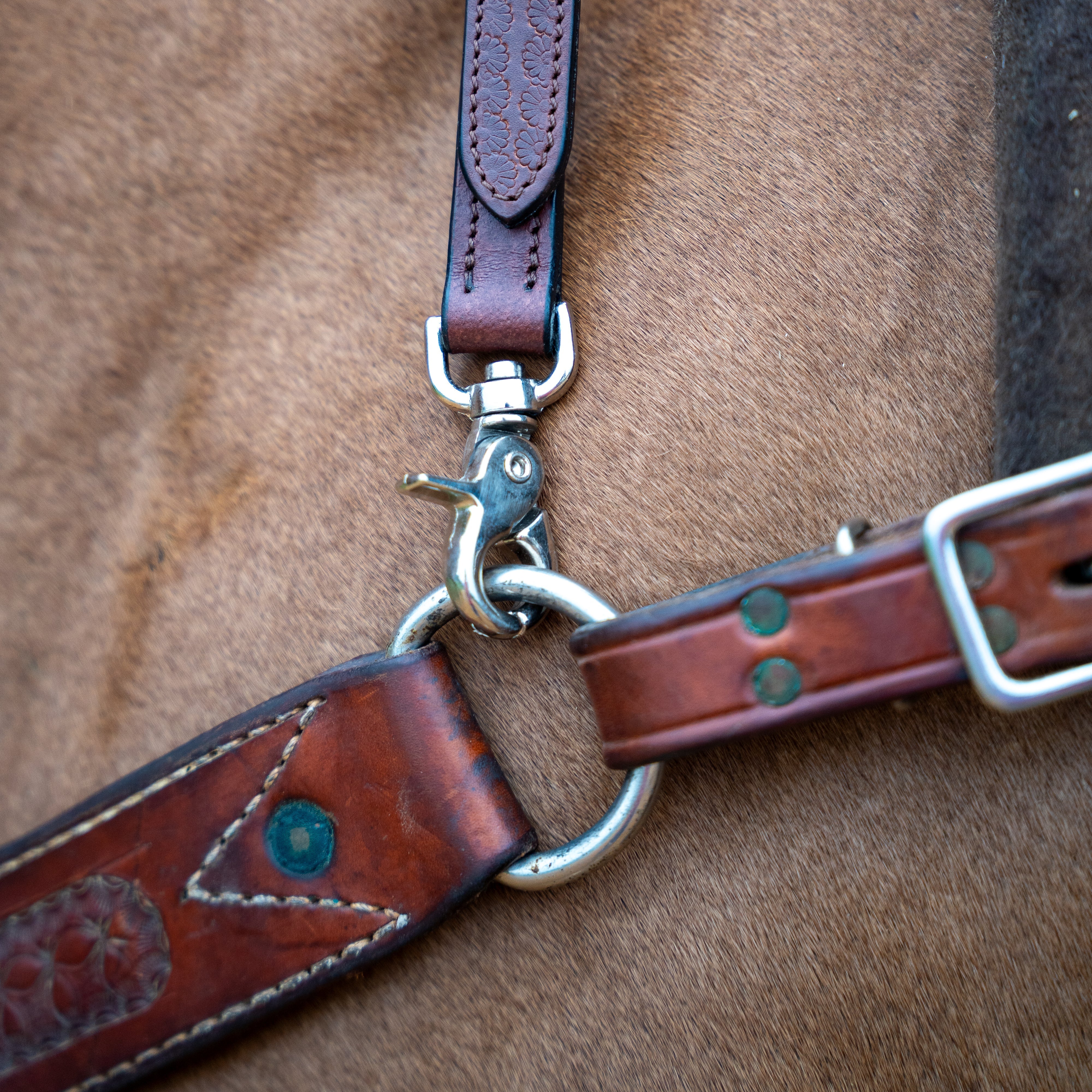 Correct Connect Western Wither Strap with Double neck strap - Equiluxe Tack