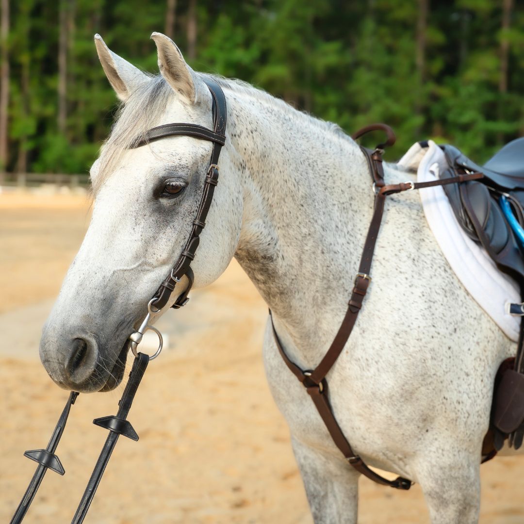 CorrectConnect 3 - Point Breastplate with Double Neck Strap - CorrectConnect - Equiluxe Tack