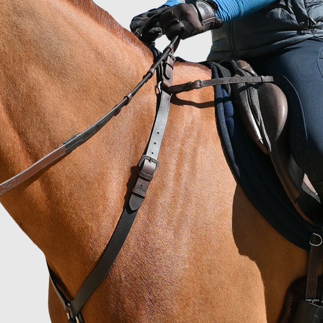 CorrectConnect 3 - Point Breastplate with Double Neck Strap - CorrectConnect - Equiluxe Tack