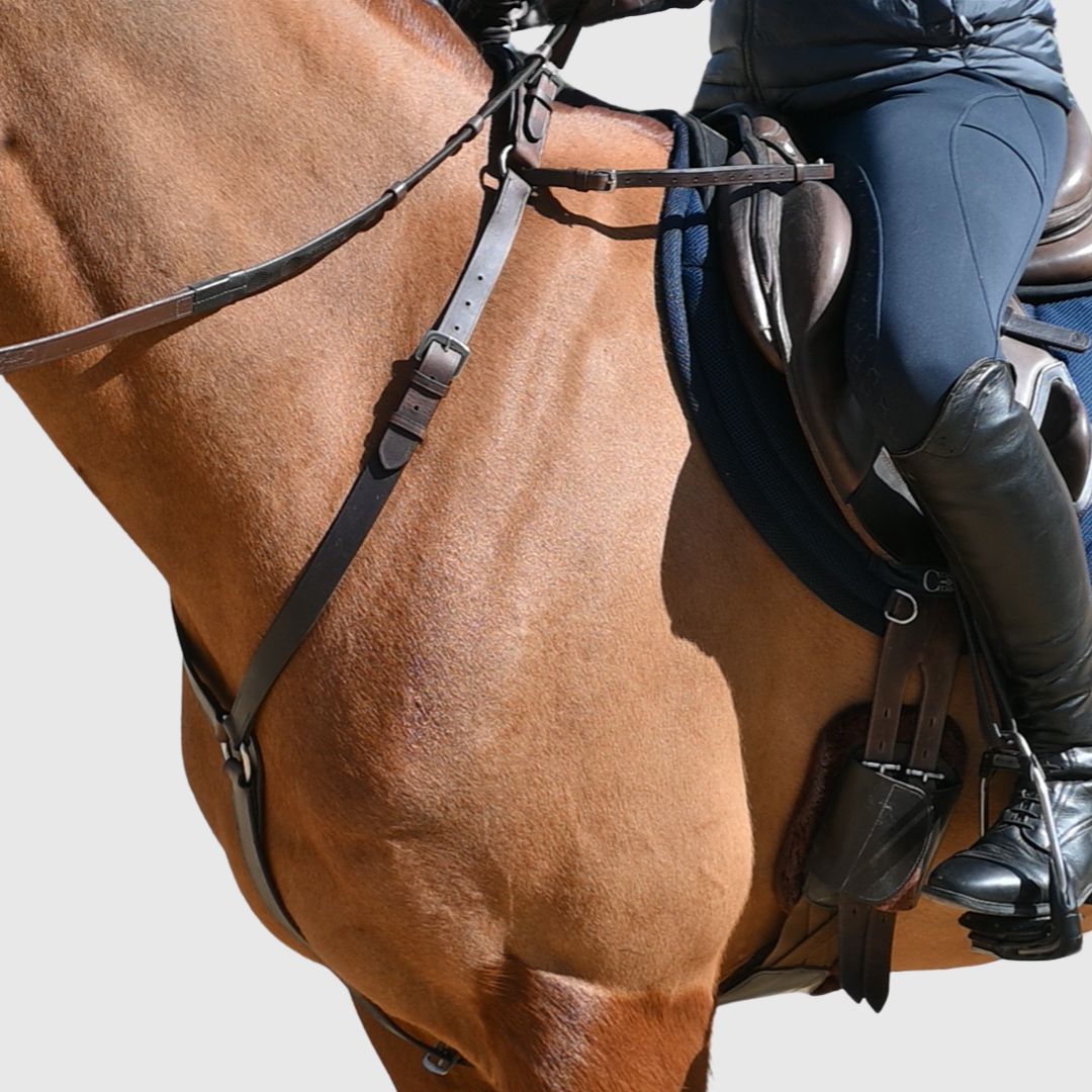 CorrectConnect 3 - Point Breastplate with Double Neck Strap - CorrectConnect - Equiluxe Tack