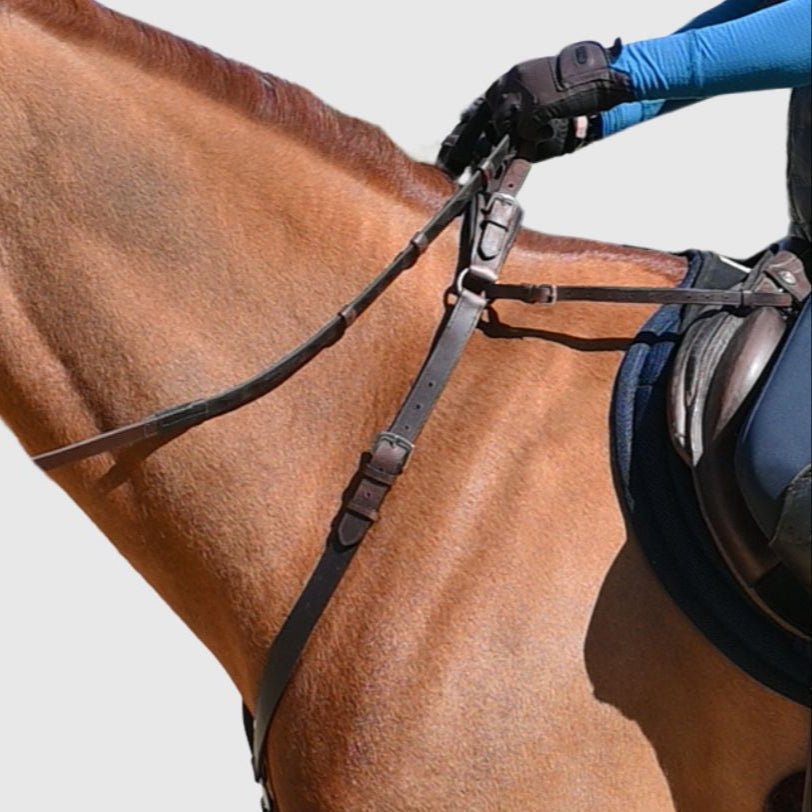 CorrectConnect 3 - Point Breastplate with Double Neck Strap - CorrectConnect - Equiluxe Tack