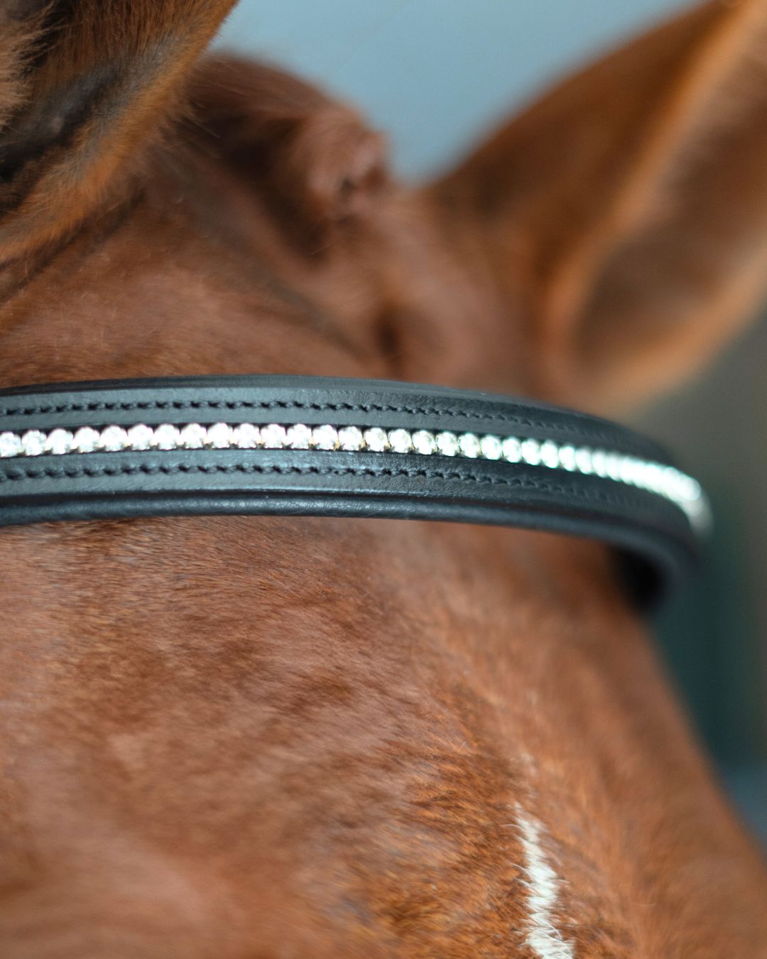 CorrectConnect Anatomic Bridle with Crystal Browband - CorrectConnect - Equiluxe Tack