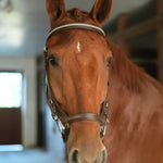 CorrectConnect Anatomic Bridle with Crystal Browband - CorrectConnect - Equiluxe Tack