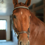 CorrectConnect Anatomic Bridle with Crystal Browband - CorrectConnect - Equiluxe Tack