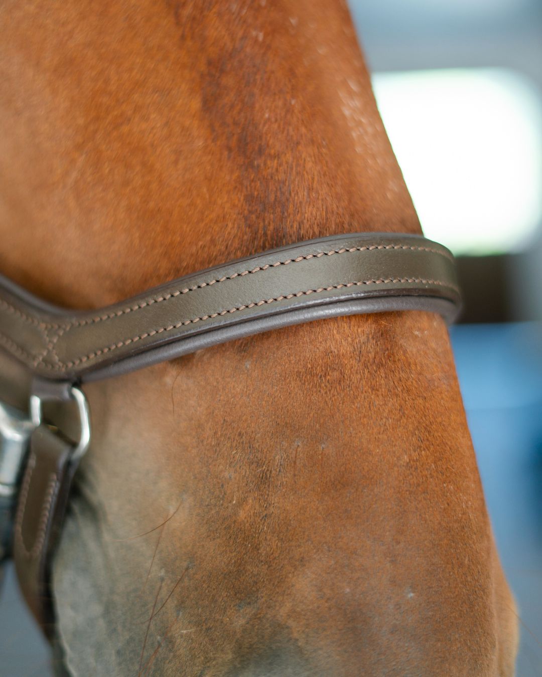 CorrectConnect Anatomic Bridle with Crystal Browband - CorrectConnect - Equiluxe Tack