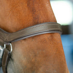 CorrectConnect Anatomic Bridle with Crystal Browband - CorrectConnect - Equiluxe Tack