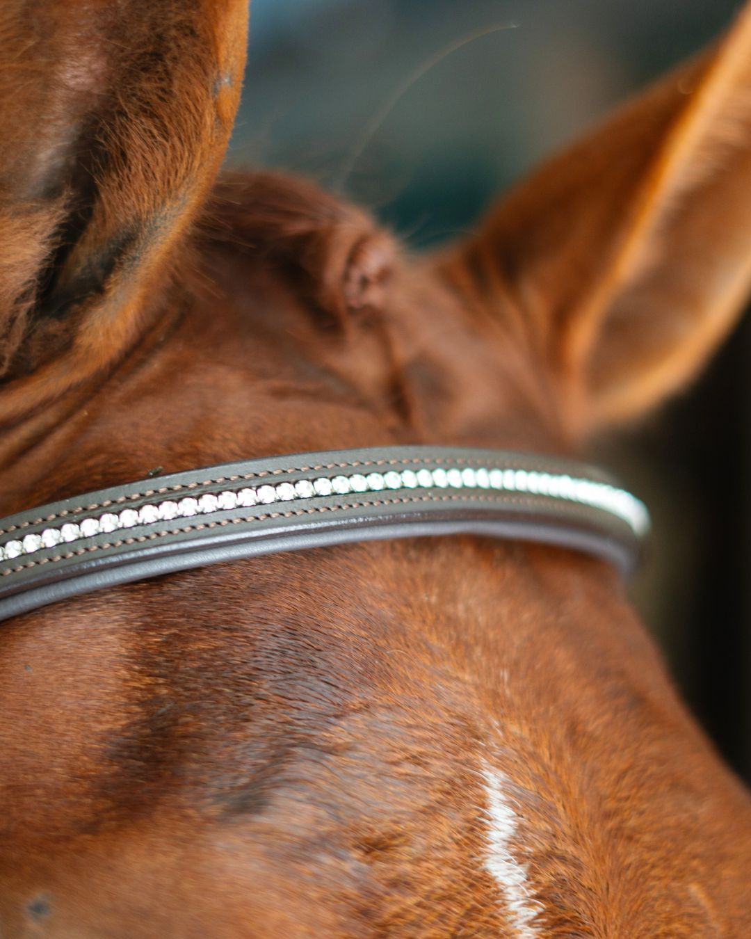 CorrectConnect Anatomic Bridle with Crystal Browband - CorrectConnect - Equiluxe Tack