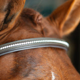CorrectConnect Anatomic Bridle with Crystal Browband - CorrectConnect - Equiluxe Tack