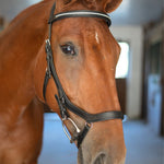 CorrectConnect Anatomic Bridle with Crystal Browband - CorrectConnect - Equiluxe Tack