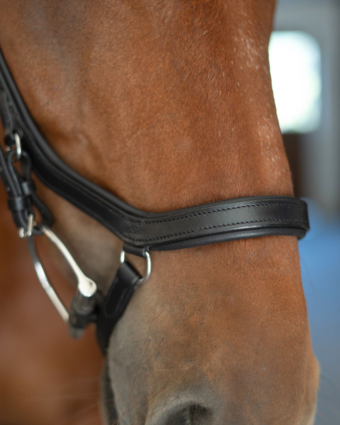 CorrectConnect Anatomic Bridle with Crystal Browband - CorrectConnect - Equiluxe Tack