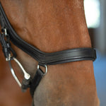 CorrectConnect Anatomic Bridle with Crystal Browband - CorrectConnect - Equiluxe Tack