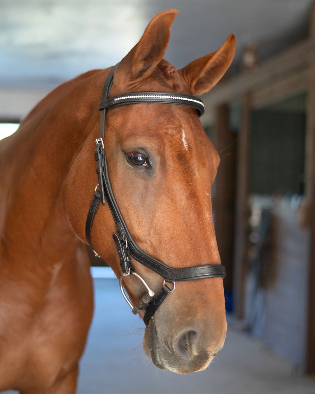 CorrectConnect Anatomic Bridle with Crystal Browband - CorrectConnect - Equiluxe Tack