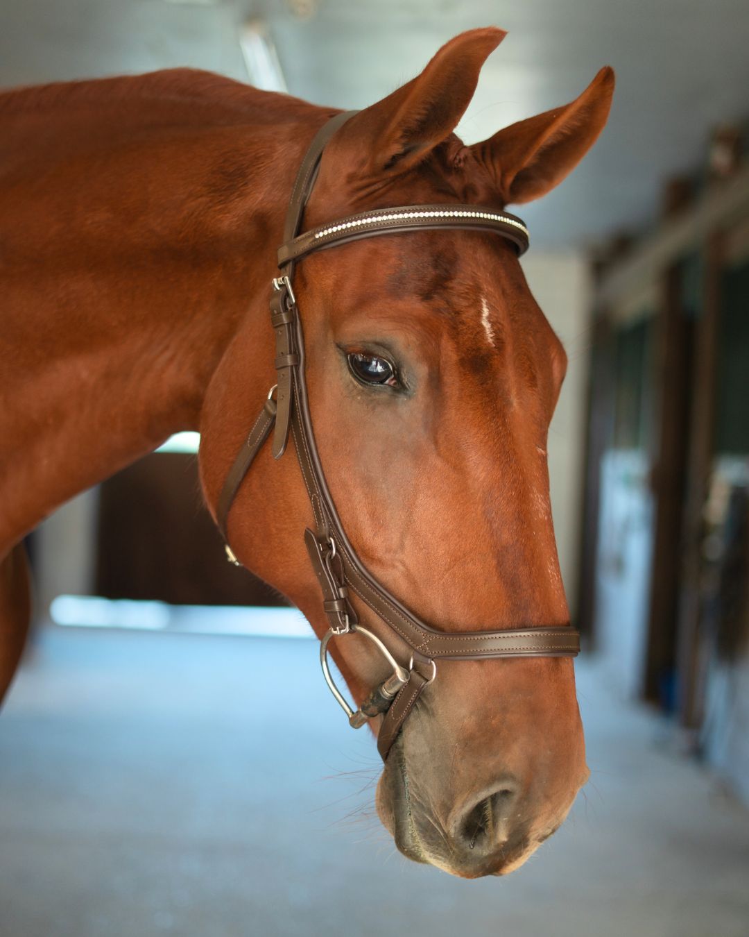CorrectConnect Anatomic Bridle with Crystal Browband - CorrectConnect - Equiluxe Tack