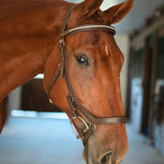 CorrectConnect Anatomic Bridle with Crystal Browband - CorrectConnect - Equiluxe Tack