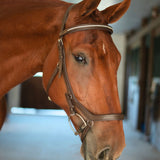 CorrectConnect Anatomic Bridle with Crystal Browband - CorrectConnect - Equiluxe Tack