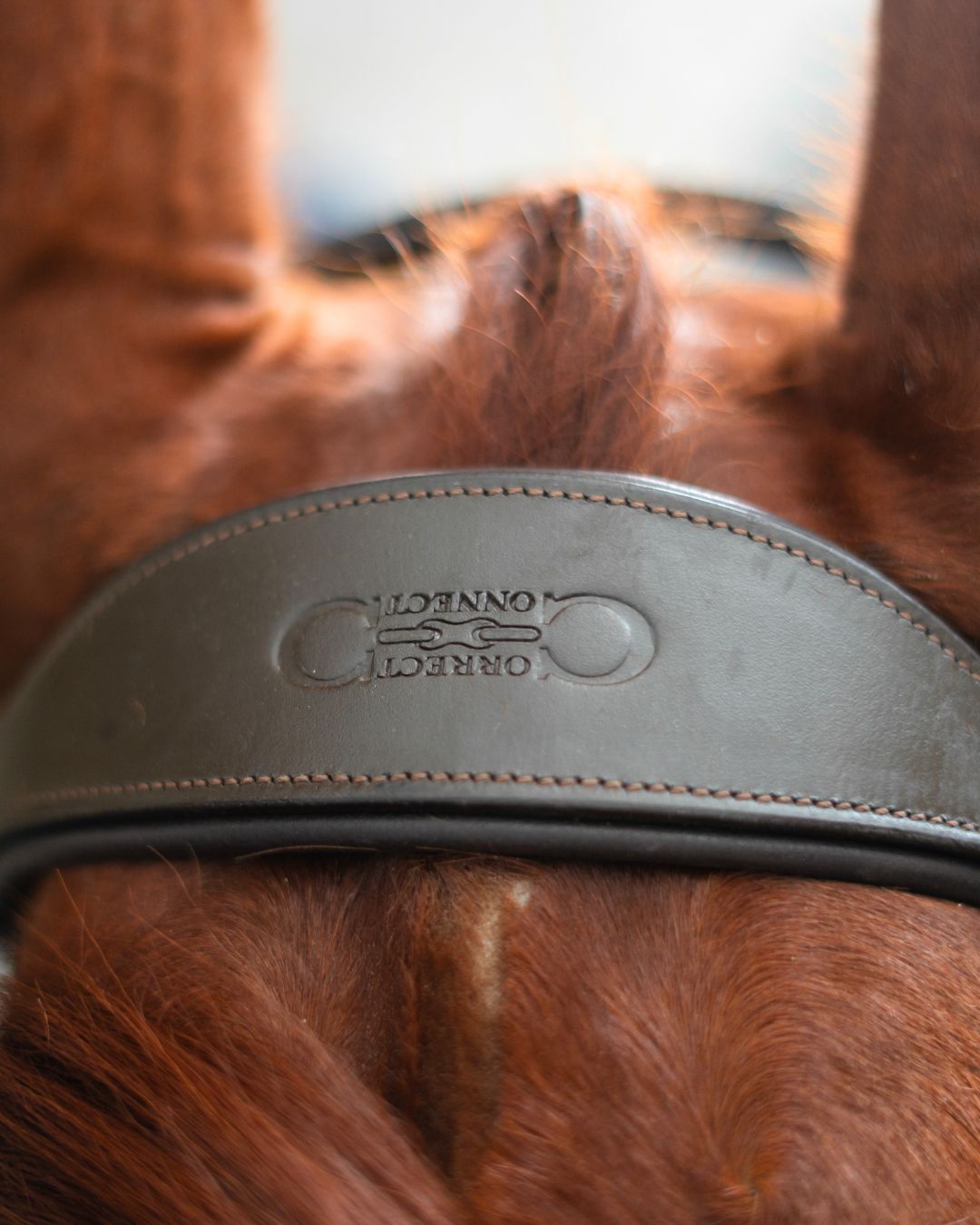 CorrectConnect Anatomic Bridle with Crystal Browband - CorrectConnect - Equiluxe Tack