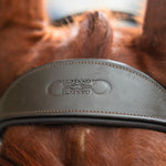 CorrectConnect Anatomic Bridle with Crystal Browband - CorrectConnect - Equiluxe Tack
