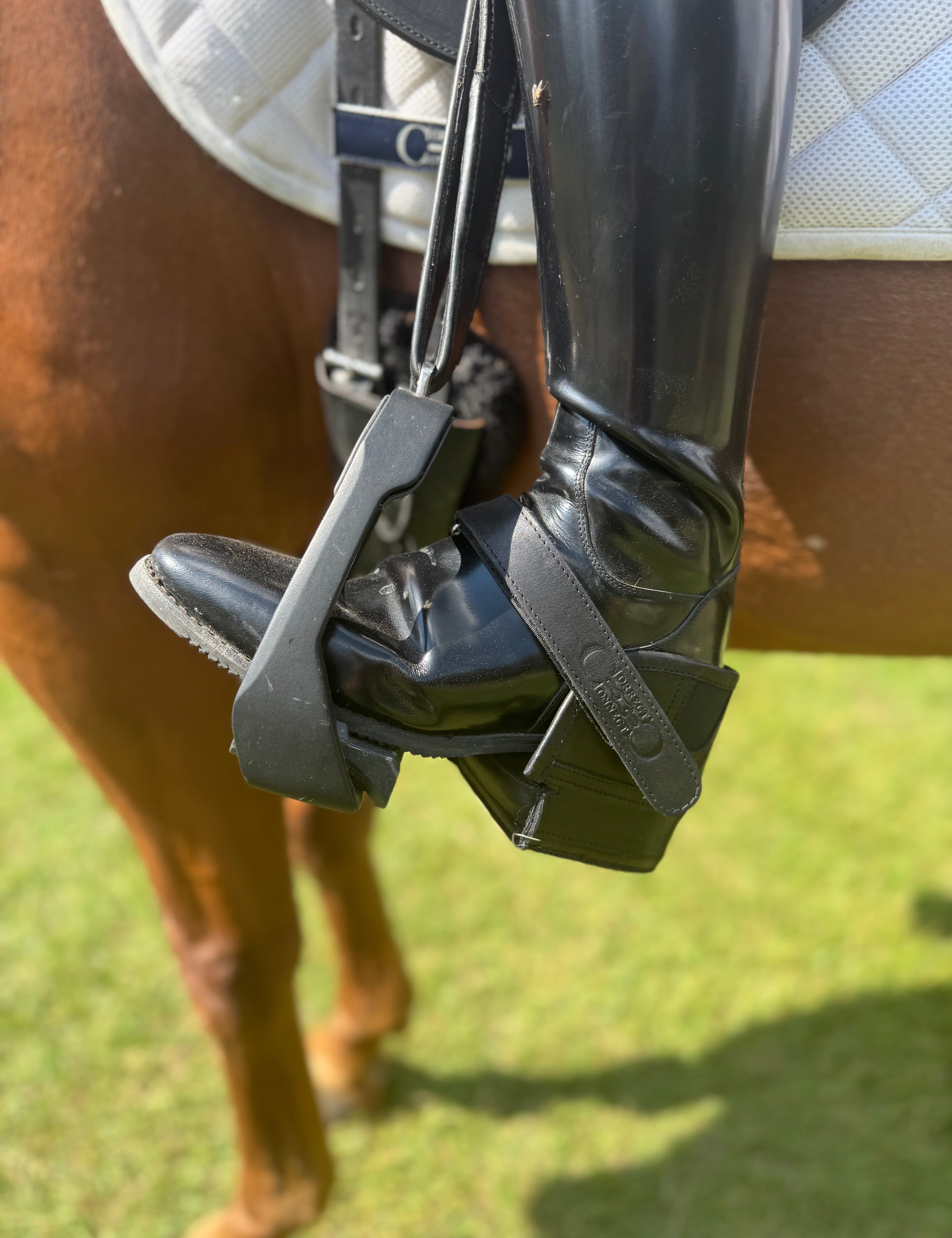 CorrectConnect Equisole EXternal - Weighted Training Aid for Equestrians - CorrectConnect - Equiluxe Tack