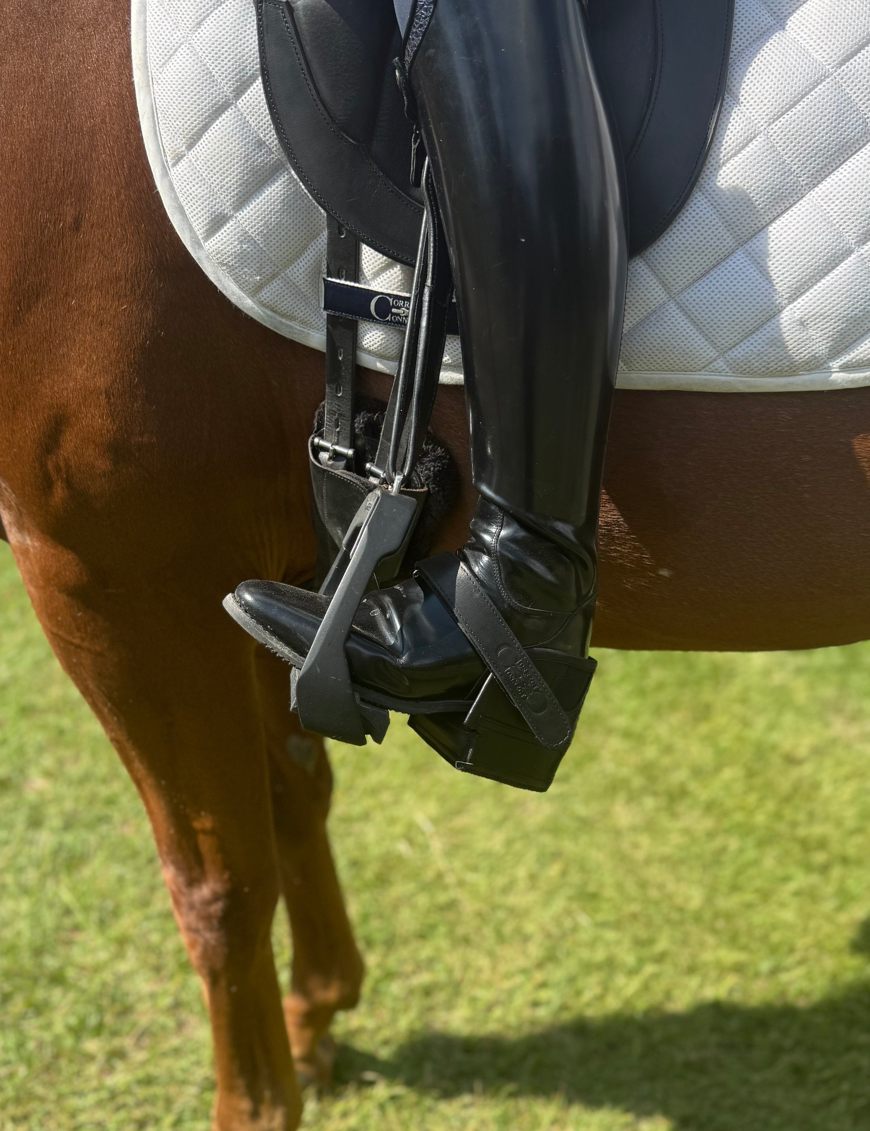 CorrectConnect Equisole EXternal - Weighted Training Aid for Equestrians - CorrectConnect - Equiluxe Tack