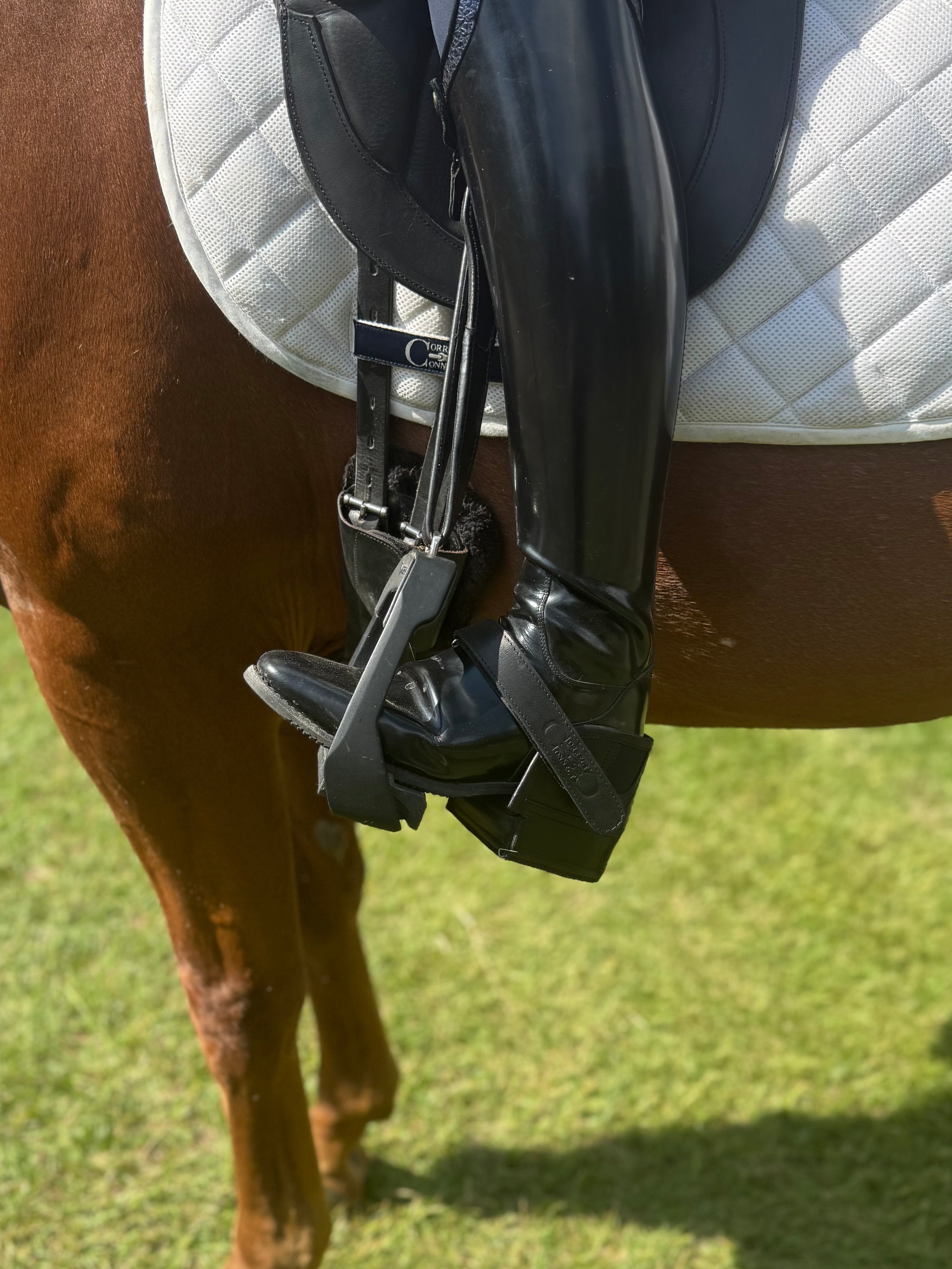 CorrectConnect Equisole EXternal - Weighted Training Aid for Equestrians - CorrectConnect - Equiluxe Tack