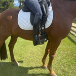 CorrectConnect Equisole EXternal - Weighted Training Aid for Equestrians - CorrectConnect - Equiluxe Tack