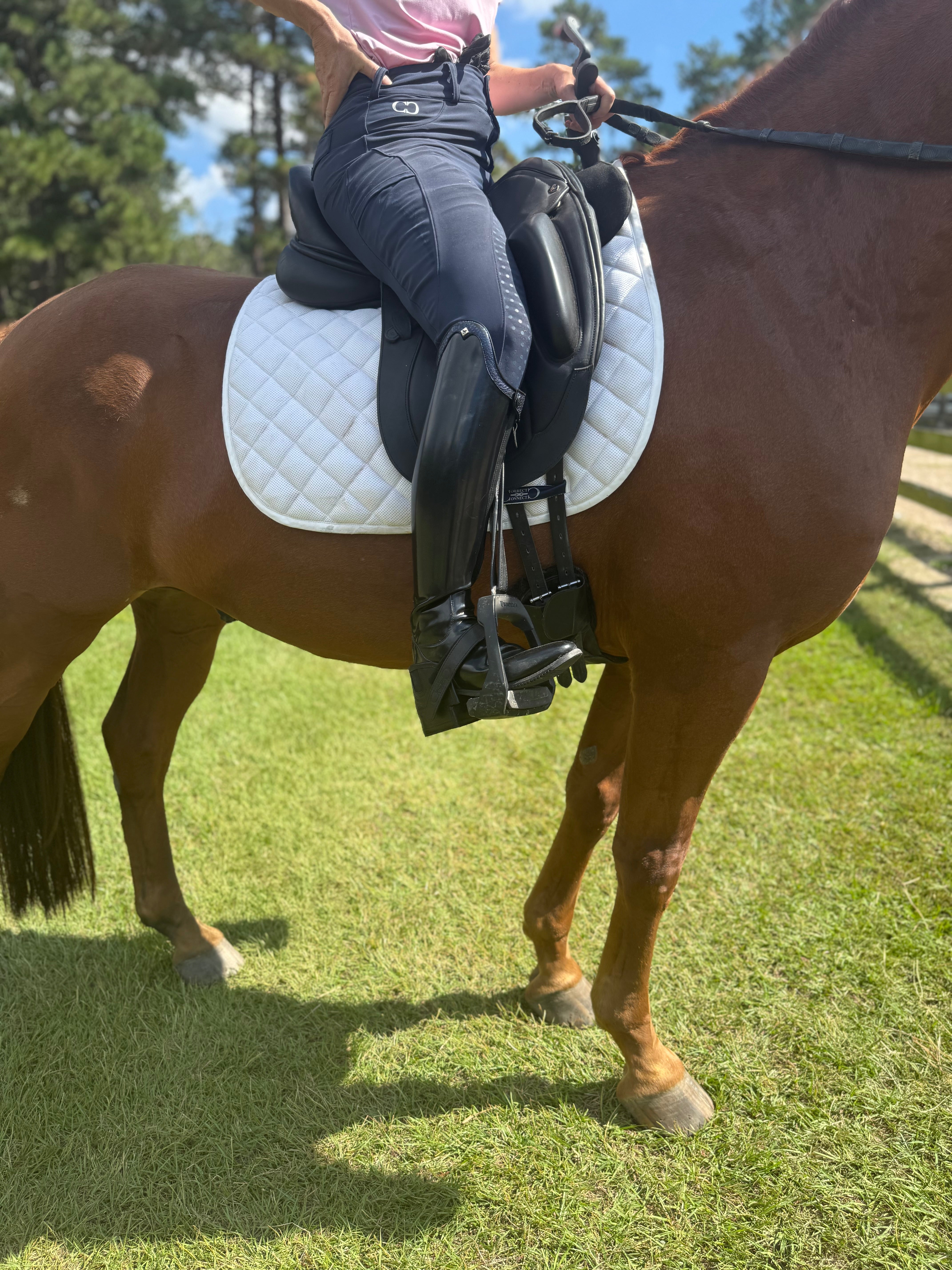 CorrectConnect Equisole EXternal - Weighted Training Aid for Equestrians - CorrectConnect - Equiluxe Tack