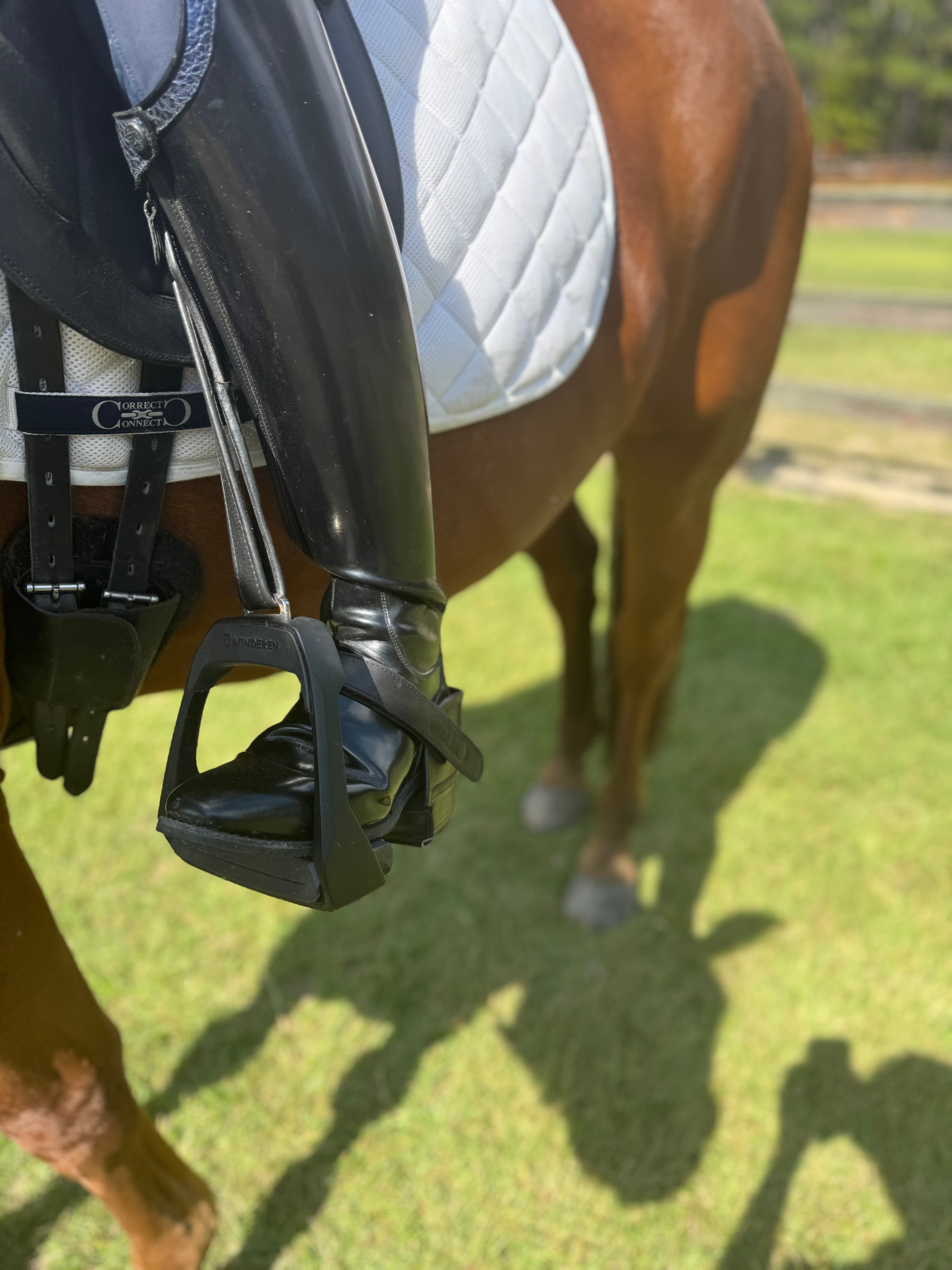 CorrectConnect Equisole EXternal - Weighted Training Aid for Equestrians - CorrectConnect - Equiluxe Tack