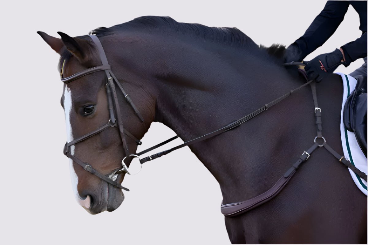 CorrectConnect Free Motion Breastplate - CorrectConnect - Equiluxe Tack