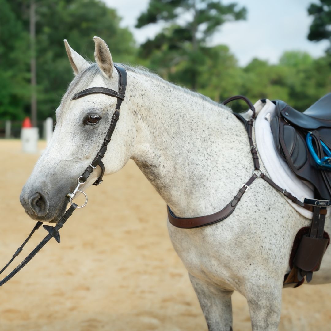 CorrectConnect Free Motion Breastplate with Double Neck Strap - CorrectConnect - Equiluxe Tack