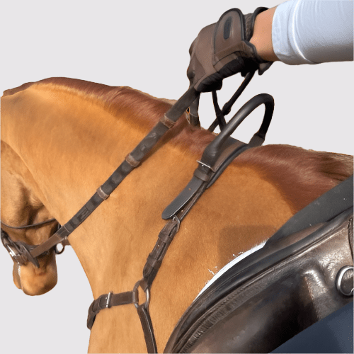 CorrectConnect Free Motion Breastplate with Double Neck Strap - CorrectConnect - Equiluxe Tack