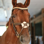 CorrectConnect Gold Accented Figure 8 Bridle with Gold Browband - CorrectConnect - Equiluxe Tack